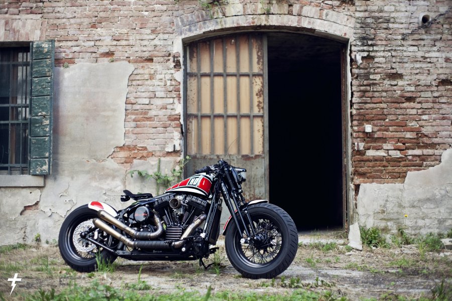 SPORTSTER SPECIAL